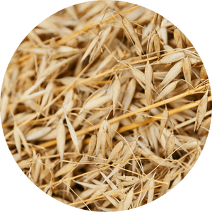 Colloidal Oatmeal
